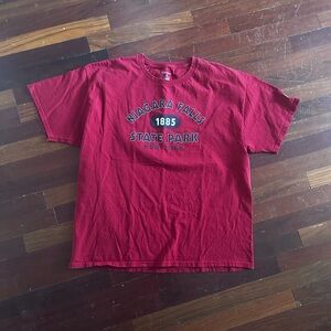 Champion Red Niagara Falls Graphic Tee